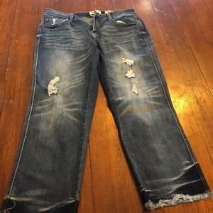 Indigo Rein cropped pants